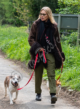 Kate Moss with dogs