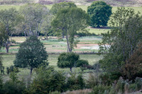 site, lake and barn