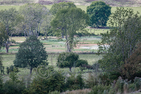 site, lake and barn