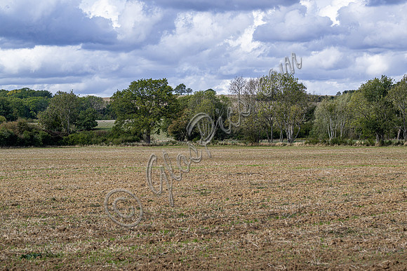 site, lake and barn