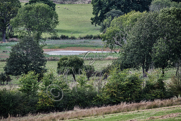 site, lake and barn
