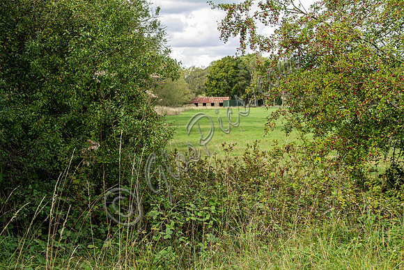 site, lake and barn