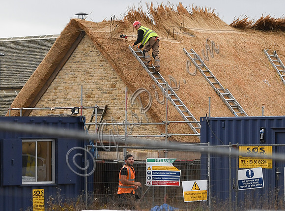 master thatcher at work