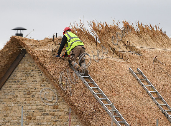 master thatcher at work