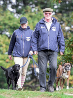 Walking towards camera head tilted down, Zara Phillips in blue MUSTO jacket, polo cap and beige jodhpur with boxer and labrador, and unknown older male.