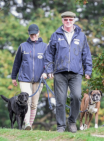 Walking towards camera head tilted down, Zara Phillips in blue MUSTO jacket, polo cap and beige jodhpur with boxer and labrador, and unknown older male.