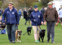 Zara Phillips in blue MUSTO jacket and two males walking with boxer and labrador
