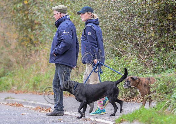 Side shot walking right to left of Zara Phillips in blue MUSTO jacket, polo cap and beige jodhpur with boxer and labrador, and unknown older male.
