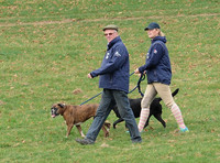 Zara Phillips in blue MUSTO jacket, jodhpurs and polo cap walking course with dogs and unknown older male, side on.