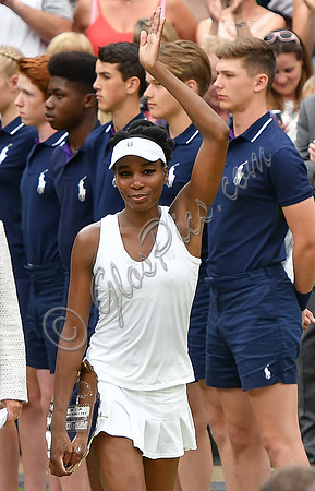 Venus Williams