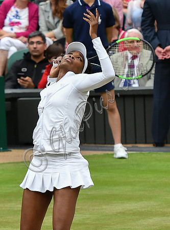 Venus Williams