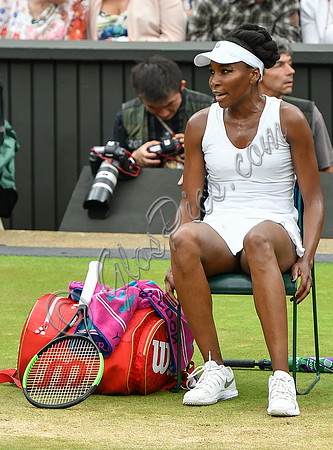 Venus Williams sitting