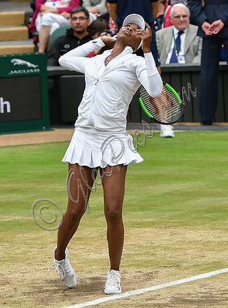 Venus Williams