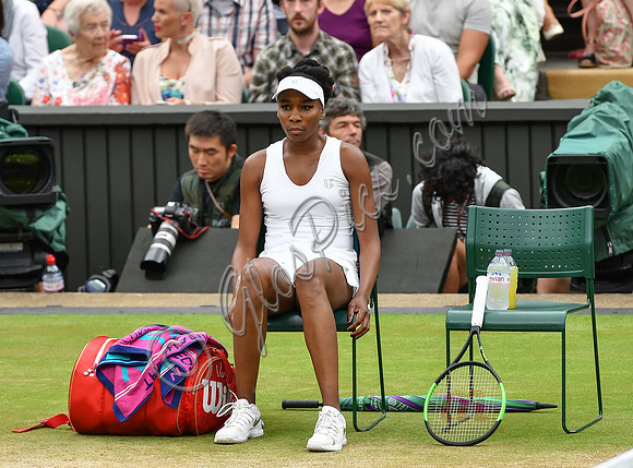 Venus Williams