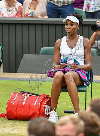 Venus Williams