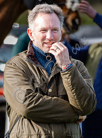 Christian Horner (alone)