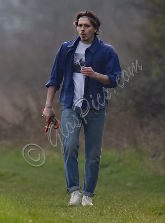 Brooklyn Beckham, casual with dogs