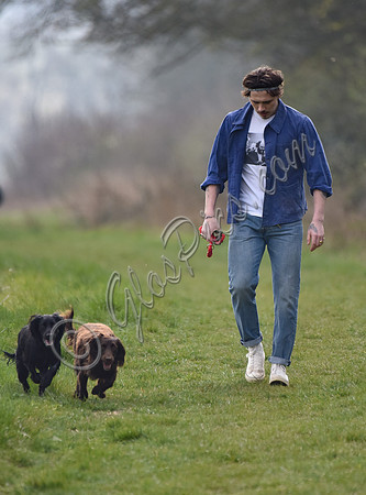 Brooklyn Beckham, casual with dogs