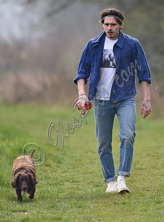 Brooklyn Beckham, casual with dogs