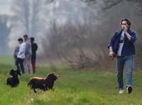 Brooklyn Beckham, casual with dogs
