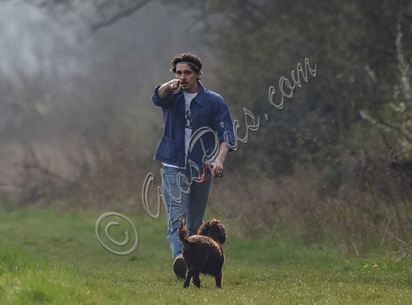 Brooklyn Beckham, casual with dogs