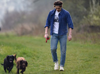 Brooklyn Beckham, casual with dogs