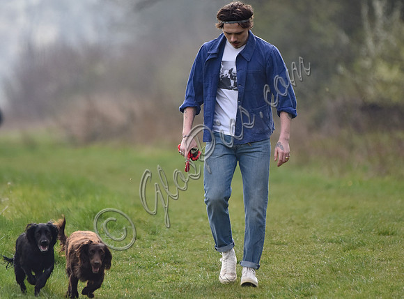 Brooklyn Beckham, casual with dogs