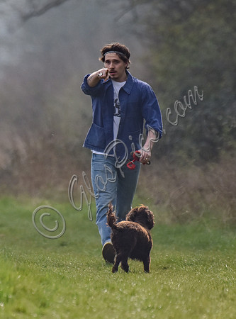 Brooklyn Beckham, casual with dogs