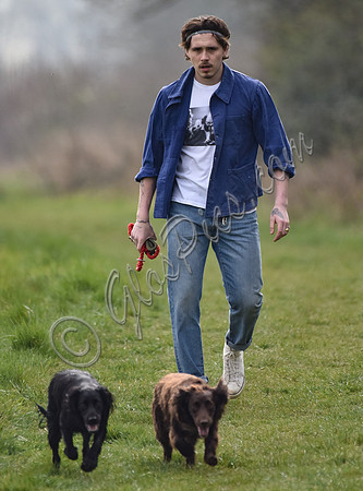 Brooklyn Beckham, casual with dogs