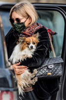 Kate Moss carrying long haired chihuahua, "Stanley"