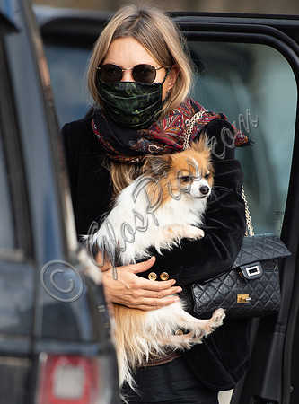 Kate Moss carrying long haired chihuahua, "Stanley"