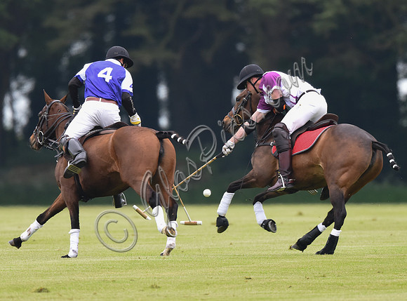 Duke of Cambridge playing polo