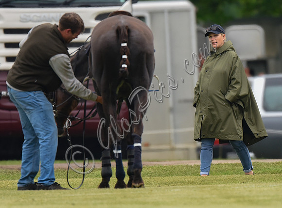 pregnant Zara Tindall at polo match