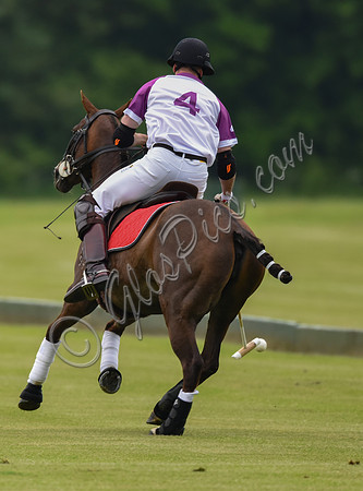 Duke of Cambridge playing polo