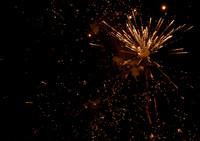fireworks exploding in sky