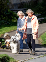 Sue Barker out with her dog