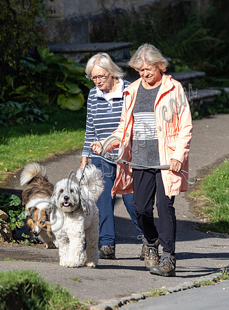 Sue Barker out with her dog