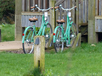 views of Soho Farmhouse members club