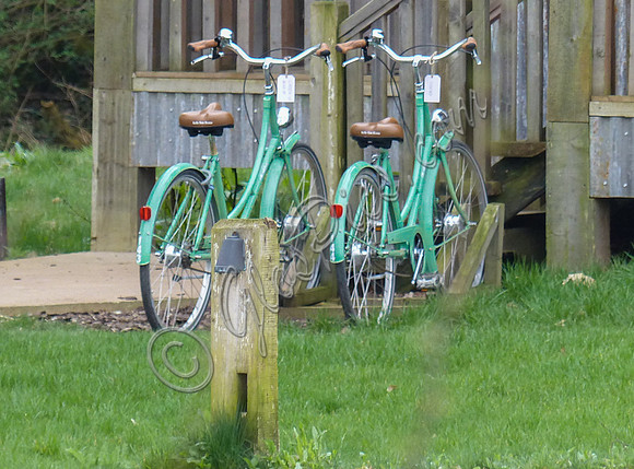 views of Soho Farmhouse members club