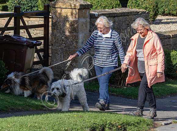Sue Barker out with her dog