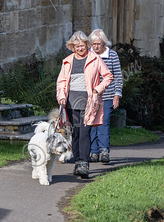 Sue Barker out with her dog