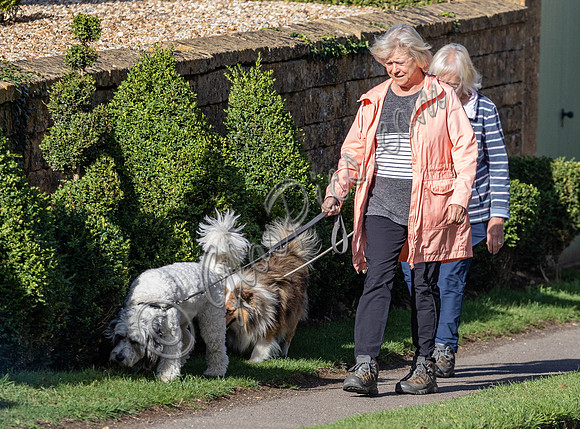 Sue Barker out with her dog