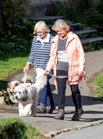 Sue Barker out with her dog