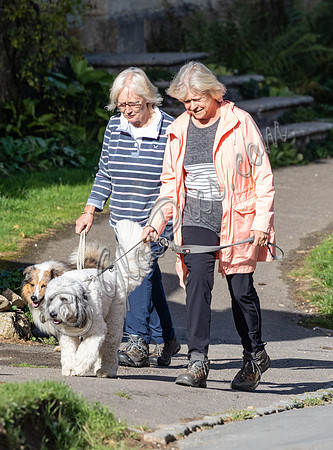 Sue Barker out with her dog