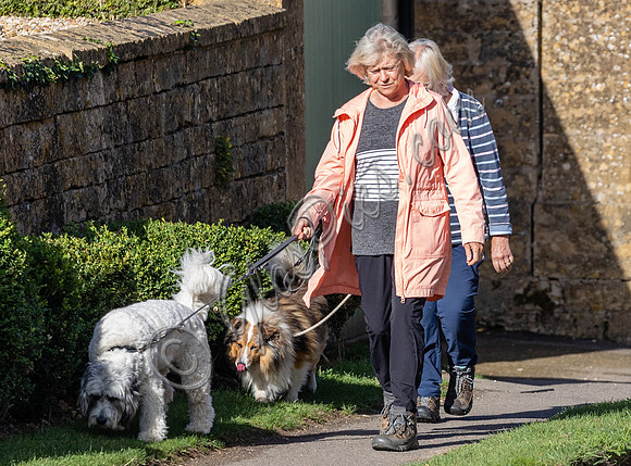 Sue Barker out with her dog