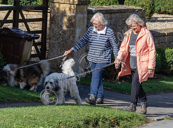 Sue Barker out with her dog