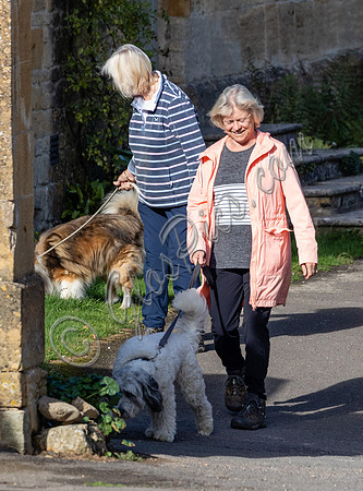 Sue Barker out with her dog