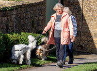Sue Barker out with her dog