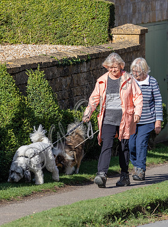 Sue Barker out with her dog