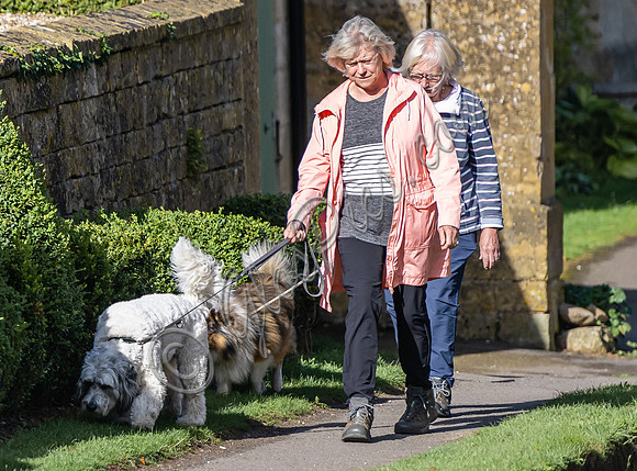 Sue Barker out with her dog